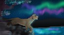 Kami sous une Aurore Bor�ale