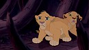 I wiil protect you- Nala and Mheetu