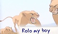 Rolo my boy