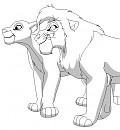 Kiara and Kovu base