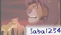 Saba1234