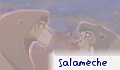 Salam�che