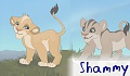 shammy