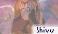 Shivu