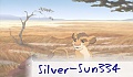 Silver-Sun334