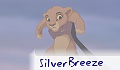 SilverBreeze