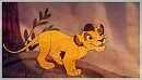 Ahadi Lionceau