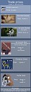 Trade Prices - Taken c: