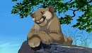  Stupid Mountain Lion 