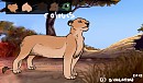 Lioness Adoption
