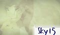 sky15