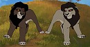 The Twins as Adults