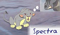 Spectra