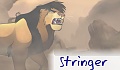 stringer