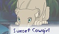 Sunset Cowgirl