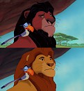 A Noble Scar