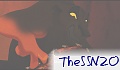 SSN