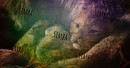 Avatar of Simba