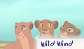 Wild Wind