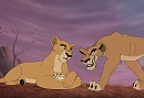 Zira's New Heir