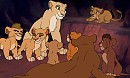 Lion Tales and Cubbie Ails