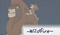 -WildFire-