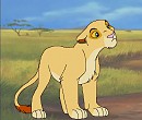 New character