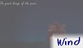 wind