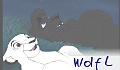 Wolf L