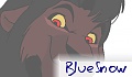 BlueStarandSnowFur