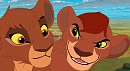 Who are they?....