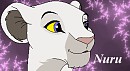 Wild Wind's prize1