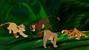 Amara and her friends