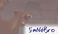 SimN�Bro