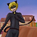 Miaou !
