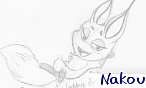 Nakou