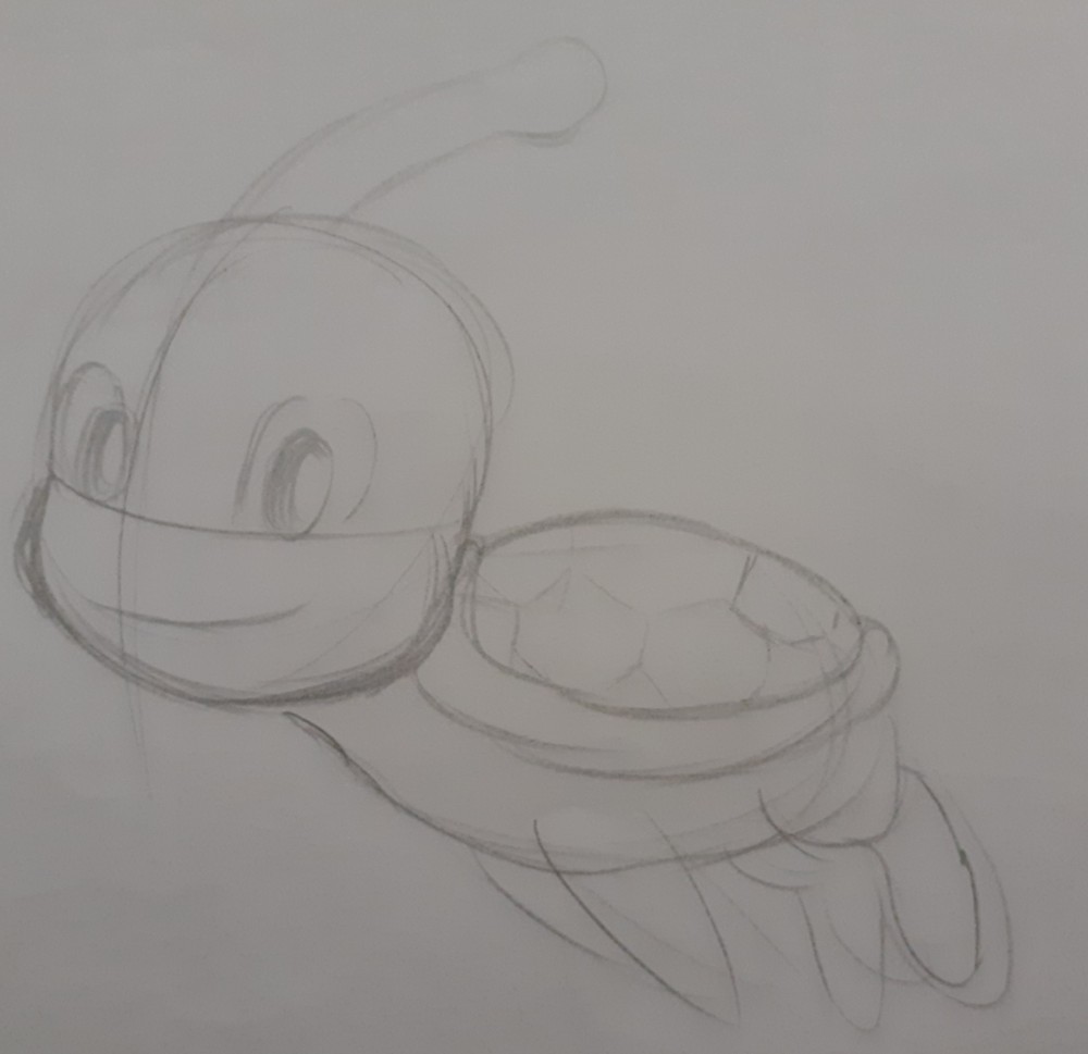 Une tortue volante ! 