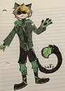 Chat noir redesign 