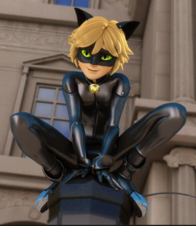 Detail Chat Noir