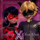 Avatar Ladybug X Chat Noir