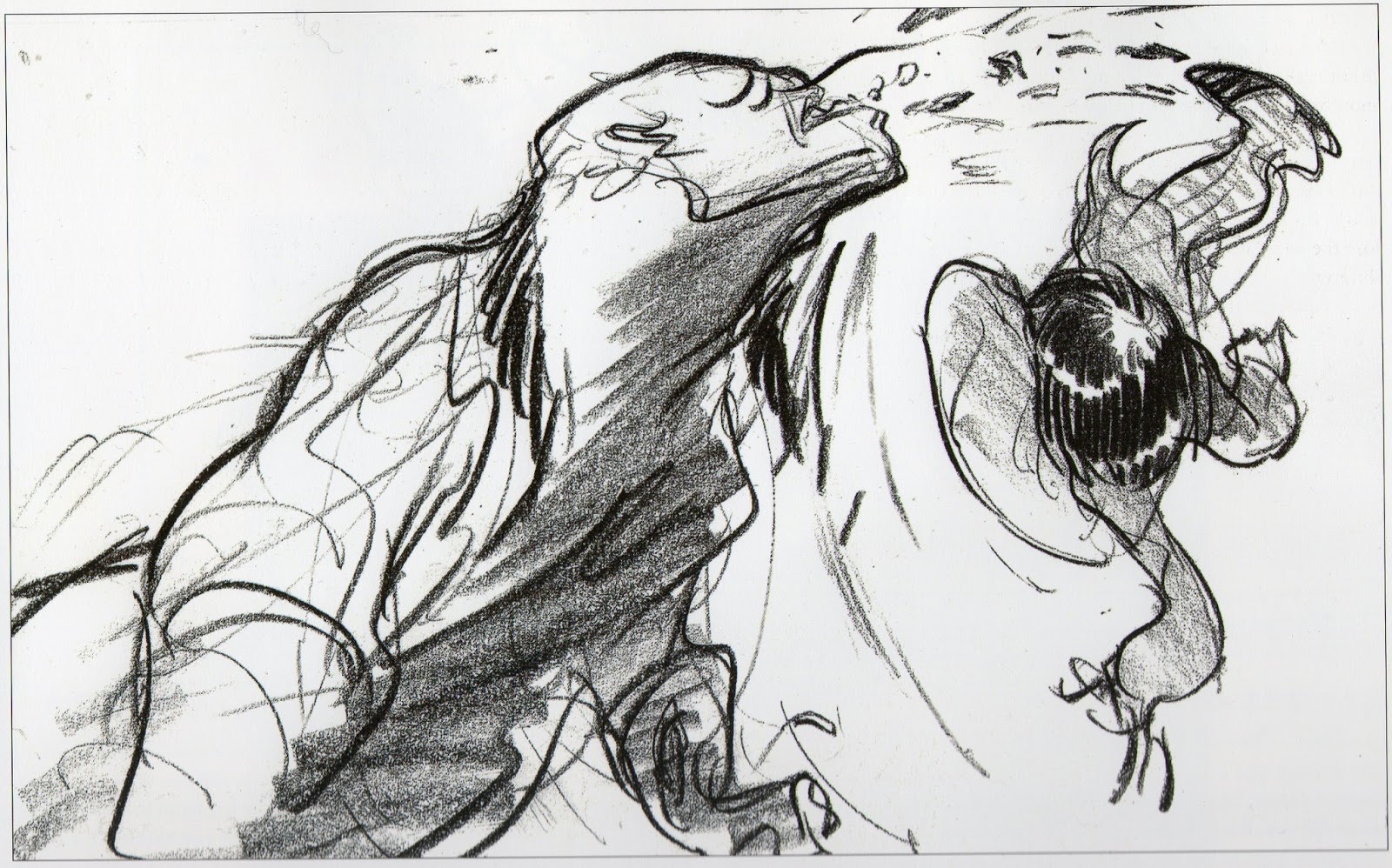 Storyboard