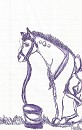 Shang's Horse Sketch