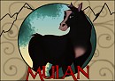 Khan 20 ans Mulan