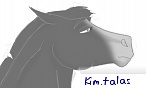 kim.talas