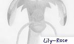 Lily-Rose