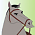 Shang's horse