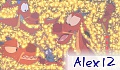 Alex 12