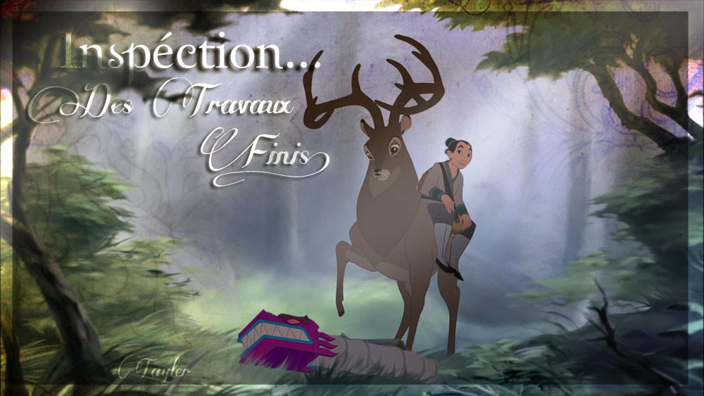 Projet Surprise 