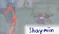 Shaymiin