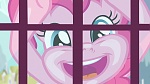 Image Mon Petit Poney : Canterlot Boutique 